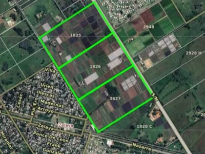 Luis Tagle 4900