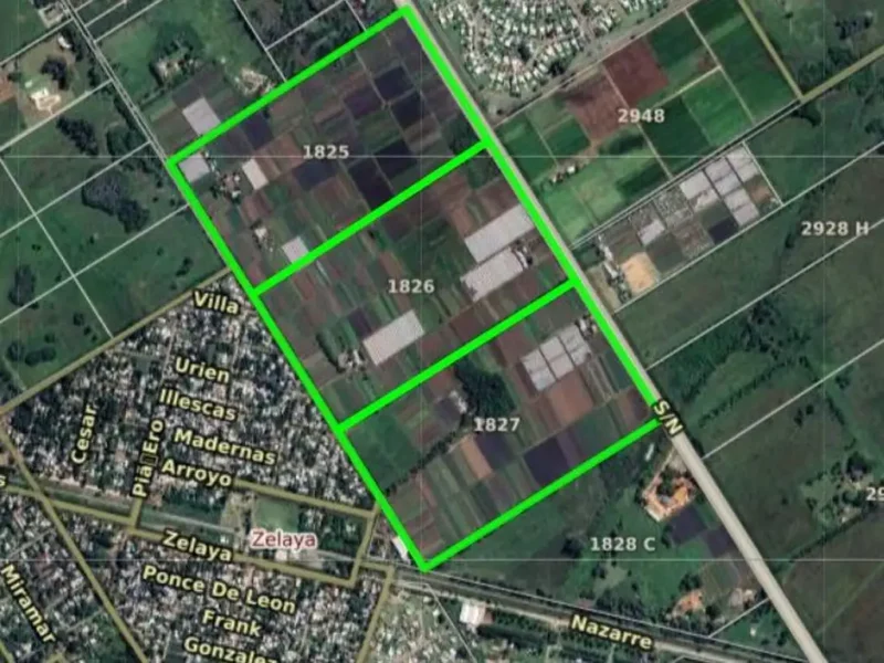 Luis Tagle 4900