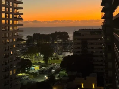 PALMERA Olivos Av. del Libertador al 2400